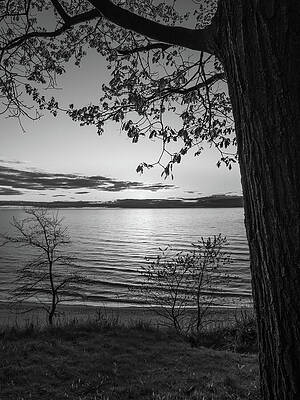 Wall Art featuring the photograph Sunset At Magoon Creek Park by Mary Lee Dereske