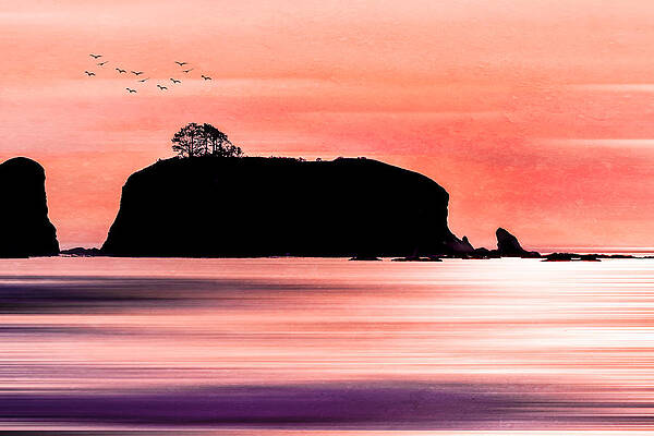 Beautiful Wall Art featuring the photograph Sunset At Rialto Beach by Shannon Williams