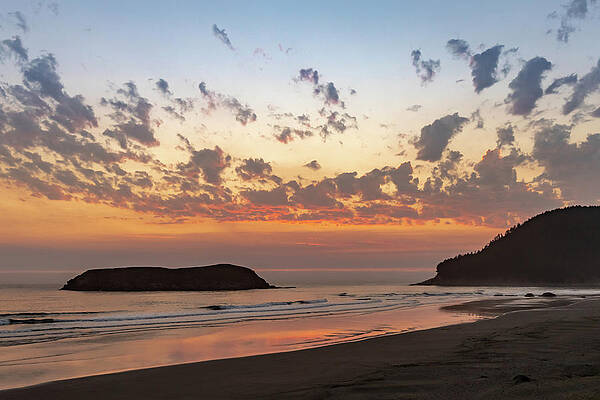 Oregon Wall Art featuring the photograph Sunset At The Beach by Ed Clark