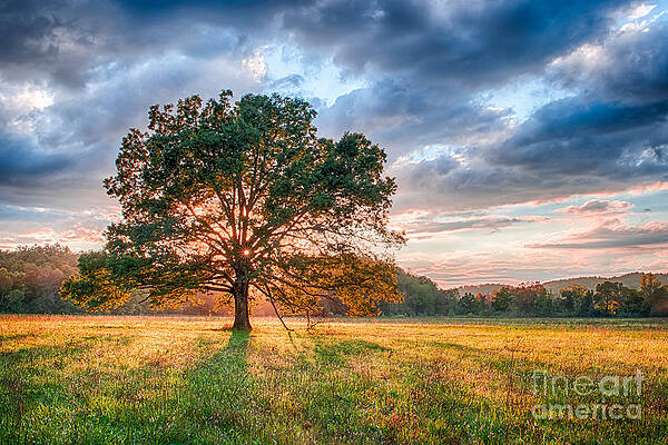 Landscape Wall Art featuring the photograph Sunset At The Tree In Cades Cove In Smoky Mtns National Park by Jimmy Pappas