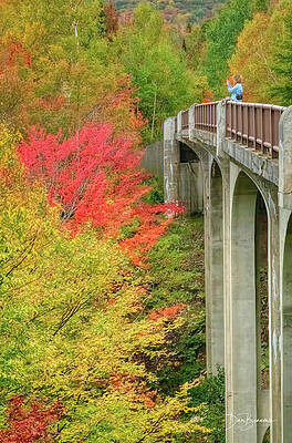 Autumn Bridge Overlook Photograph