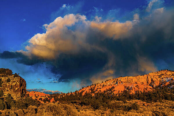 Photograph - Sunset Bryce Canyon Utah USA by Tommy Farnsworth