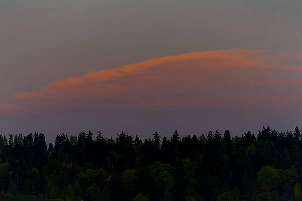 Sunset Cloud Over the Forest by Carl Prothman