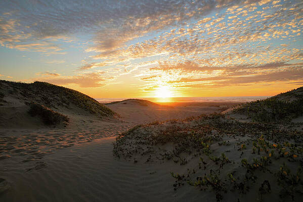 Wall Art featuring the photograph Sunset Dunes In Morro Bay by Matthew DeGrushe