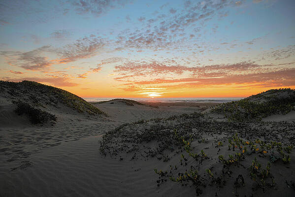Wall Art featuring the photograph Sunset Dunes by Matthew DeGrushe