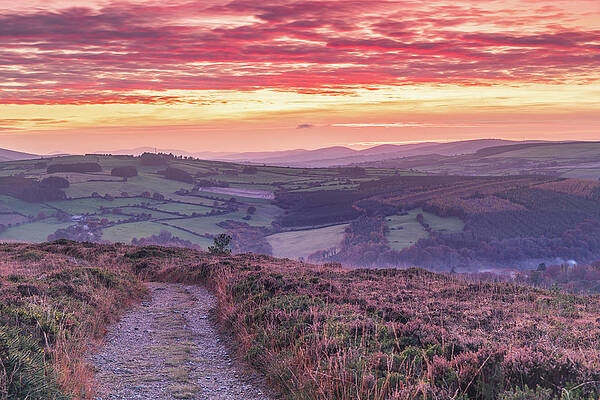 Sunset Photograph - Sunset From The Mottee Stone, Wicklow, Ireland by Adrian Hendroff