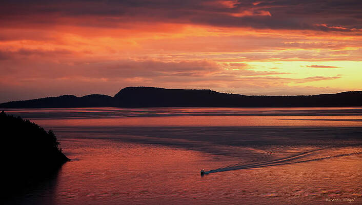 Sunset Photograph - Sunset Glow by Barbara Siegel