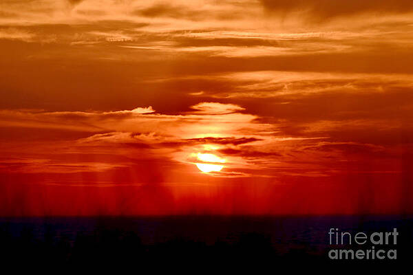 Wall Art featuring the photograph Sunset Grass Adorned by Debra Banks