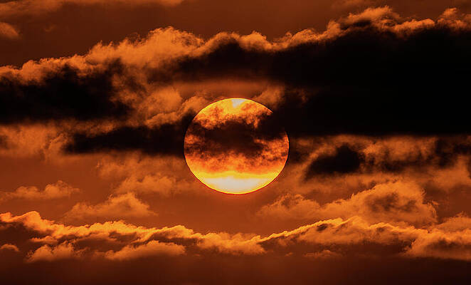 Nature Wall Art featuring the photograph Sunset In Carlsbad California by Tommy Farnsworth