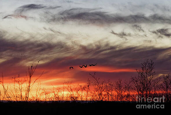 Fall Photograph - Sunset In Crex Meadows In Autumn by Natural Focal Point Photography