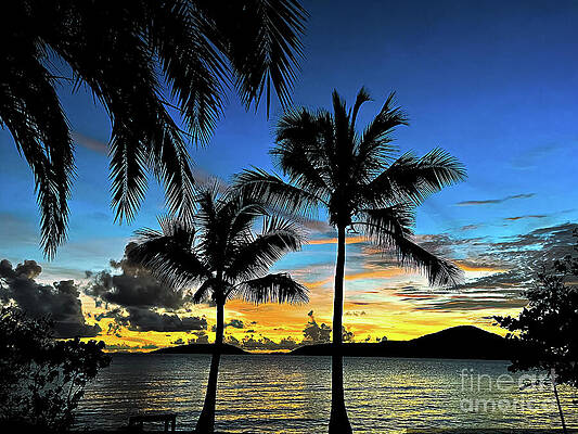 Tree Wall Art featuring the photograph Sunset In Paradise II by La Dolce Vita
