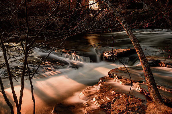 Vibrant Photograph - Sunset In The Shade - Roswell Georgia by Anthony Hightower