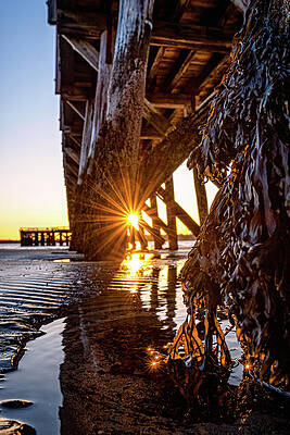Maine Wall Art featuring the photograph Sunset Light Under Fort Foster Pier by Jeff Sinon
