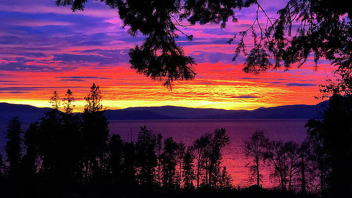 Serene Photograph - Sunset On Flathead Lake, Montana by Tatiana Travelways