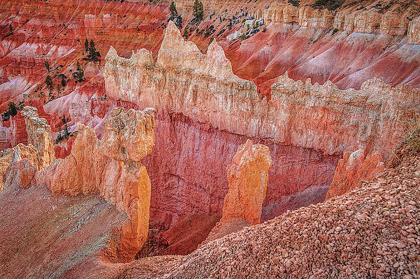 Scenic Photograph - Sunset On Hoodoos, Bryce Canyon, Utah by Abbie Warnock