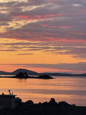 Wall Art featuring the photograph Sunset Over Clarence Strait by Harry Banks