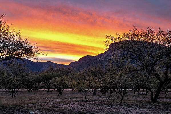 Sunset Over Desert Mountains Photograph