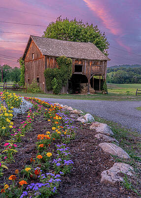 Flower Wall Art featuring the photograph Sunset Over Sullivan Farm Barn by Dave King