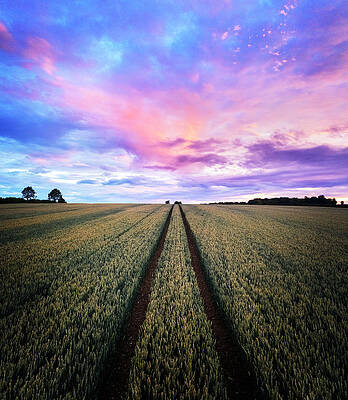 Sunset Over The Barn by Monamifoto