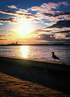 Wall Art featuring the photograph Sunset Over The Bay by Steven Nelson