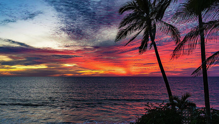 Mexico Wall Art featuring the photograph Sunset Over The Pacific by Tommy Farnsworth