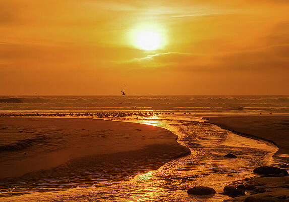 California Wall Art featuring the photograph Sunset Pacific Coast Highway California by Tommy Farnsworth
