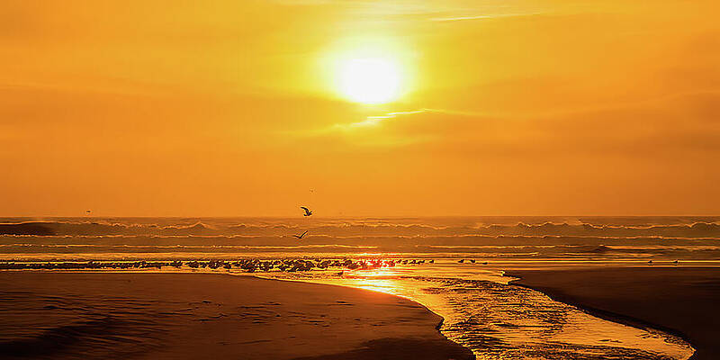 California Wall Art featuring the photograph Sunset Pacific Coast Highway Santa Cruz California by Tommy Farnsworth