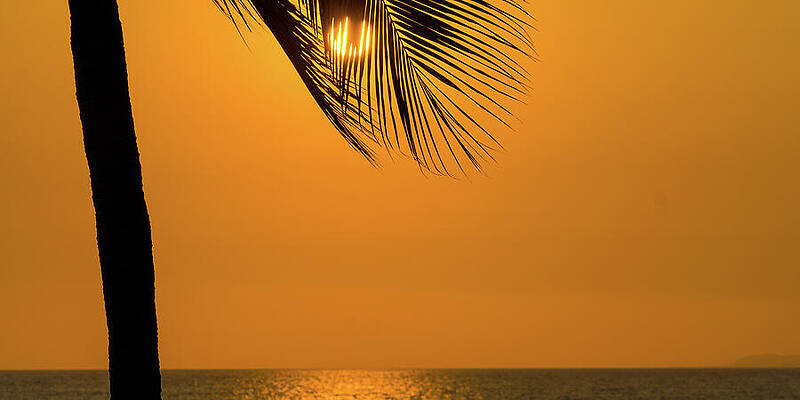 Photograph - Sunset Puerto Vallarta Mexico by Tommy Farnsworth