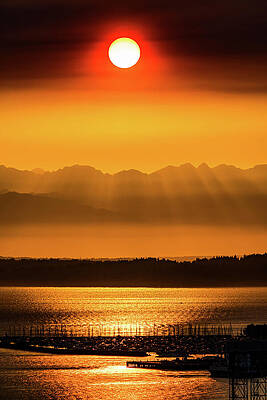 Seattle Wall Art featuring the photograph Sunset Puget Sound Seattle by Tommy Farnsworth