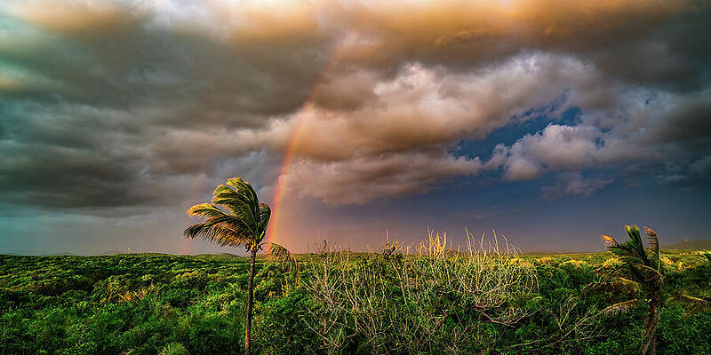 Nature Wall Art featuring the photograph Sunset Rainbow In The East Mazatlan Mexico by Tommy Farnsworth