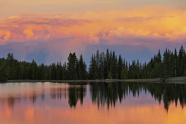 Sunset Reflections by Sunniye Buesing