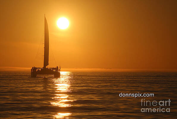 Sunset Sailboat at Sea Wall Art