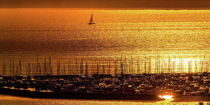 Seattle Wall Art featuring the photograph Sunset Sailing Puget Sound Seattle by Tommy Farnsworth