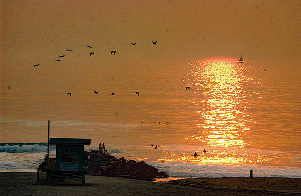 Sunset Photograph - Sunset Seagulls Swimmers And Sailboat by Bonnie Colgan