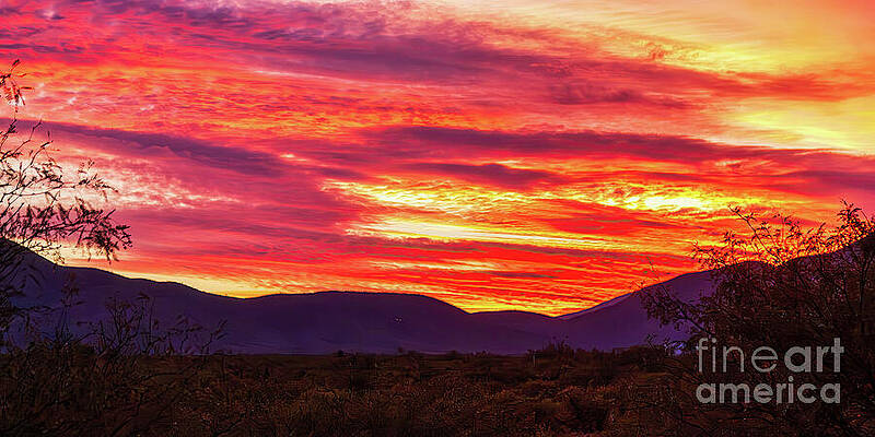 Vibrant Photograph - Sunset Sky In Southern Arizona by Tatiana Travelways