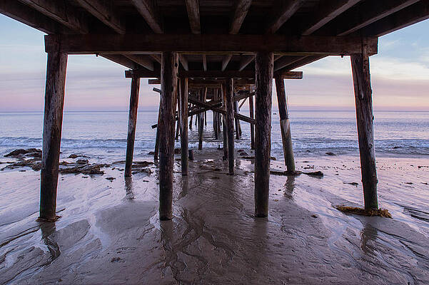 Water Photograph - Pier Sunset At Paradise Cove, Malibu, California by Bonnie Colgan