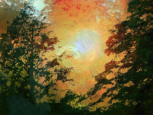 Wall Art featuring the photograph Sunset Vortex by Carol Whaley Addassi