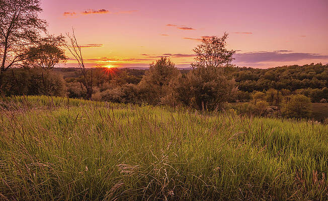 Nature Wall Art featuring the photograph Sunset With A Grassy View by Jason Fink
