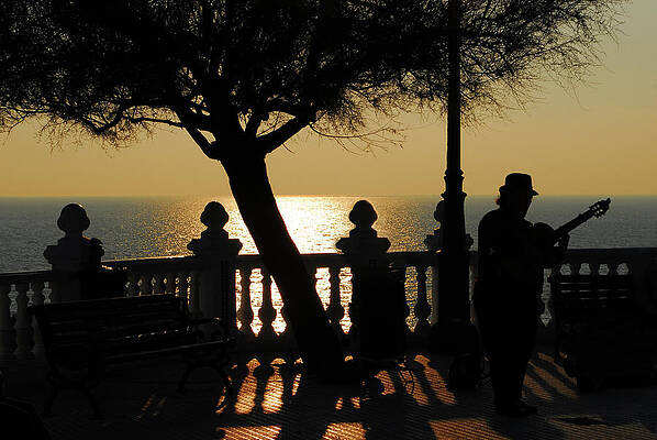 Summer Wall Art featuring the photograph Sunset  With Black Silhouettes by Severija Kirilovaite