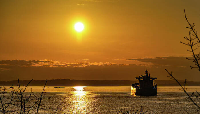 Seattle Wall Art featuring the photograph Sunseting Puget Sound Seattle by Tommy Farnsworth