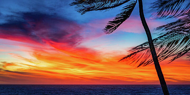 Sunset Wall Art featuring the photograph Sunsets For The Soul Mazatlan Sinaloa Mexico by Tommy Farnsworth