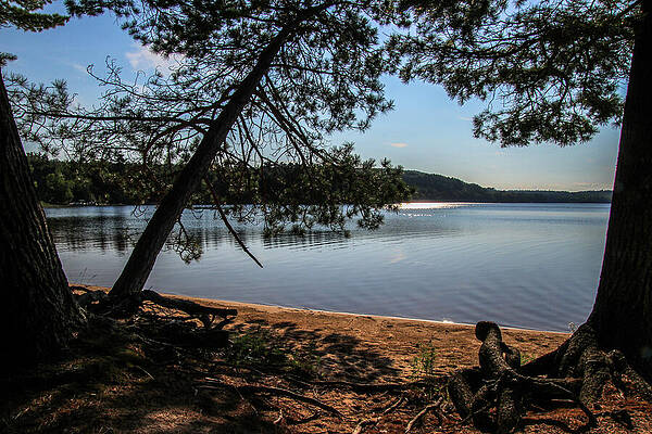 Nature Photograph - Sunshine On Deer Lake by Deb Beausoleil