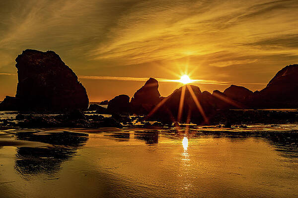 Photograph - Sunstars by Tim Lyden