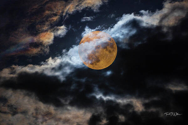 Sky Photograph - Super Moon Of Summer by Theresa D Williams Smoky Mountains
