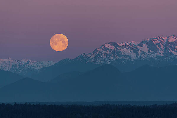 Wall Art featuring the photograph Supermoon And Olympic Mountains On Spring Equinox March 20, 2019 by Nancy Gleason