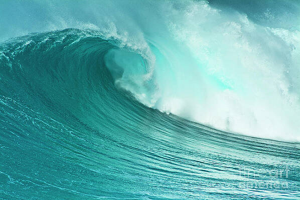 Dramatic Photograph - Surf Wave Curl Pipe, Algarve, Portugal by Neale And Judith Clark
