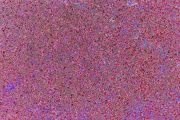 Wall Art featuring the digital art Surface Of Beaver Pond by Bruce Block