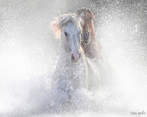 Arizona Photograph - Surreal Chase In Color. by Paul Martin