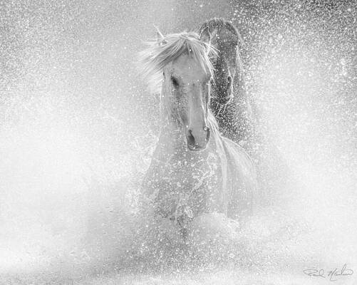 Arizona Photograph - Surreal Chase In Dynamic Greyscale. by Paul Martin