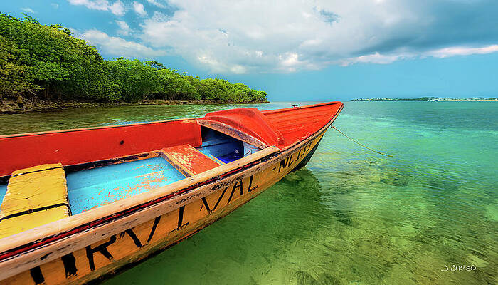Jamaica Photograph - Survival by Jim Carlen